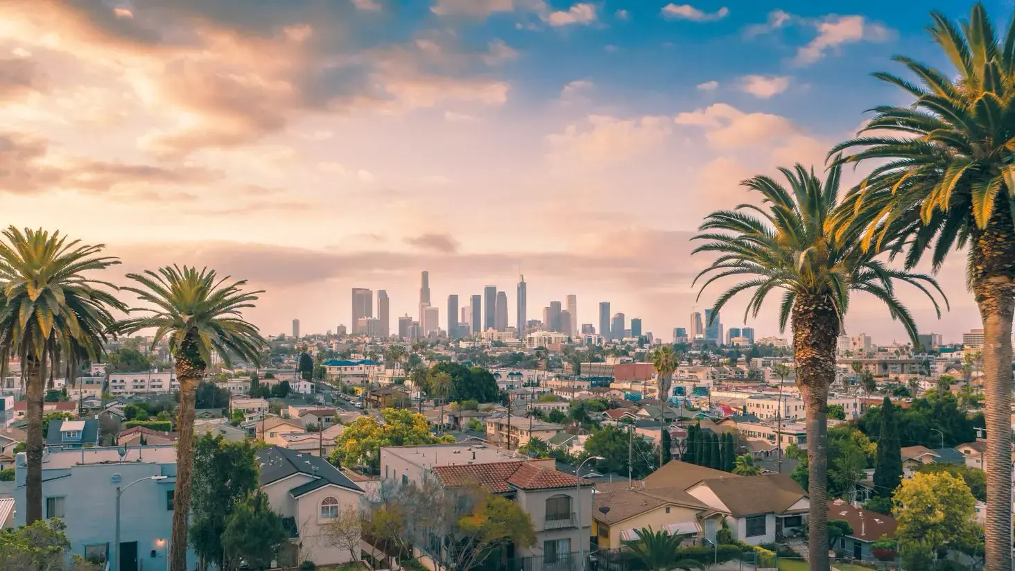 Los Angeles Background