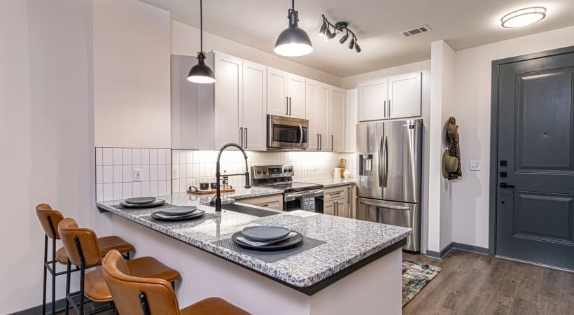 Fully furnished apartment in Dallas, TX